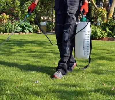 serv_weed_control weed control johannesburg
